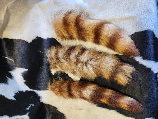 Raccoon tail